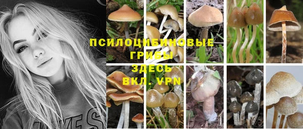 первитин Алексеевка