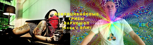 спиды Алзамай